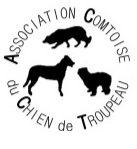 ACCT